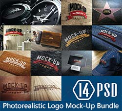13套逼真的品牌标志展示模型：Photorealistic Logo Mock-Up Bundle